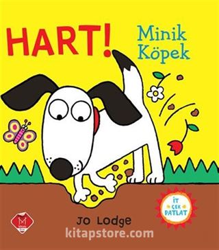 Hart Minik Köpek