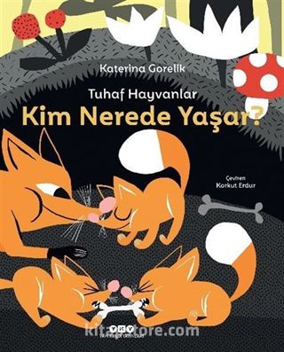 Kitap Store