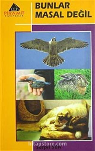 Kitap Store