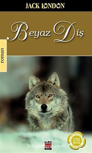 Kitap Store