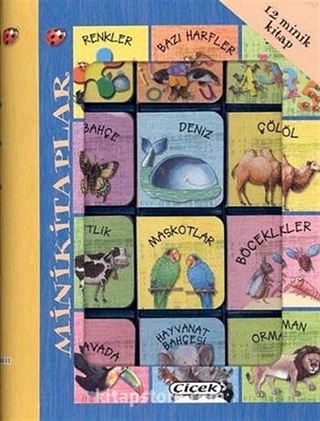 5 Duyu Minik Kitaplar