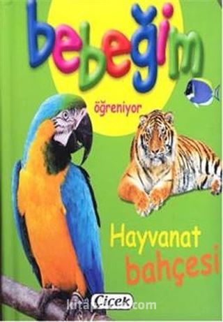 Bebeğim Öğreniyor Oyun Zamanı