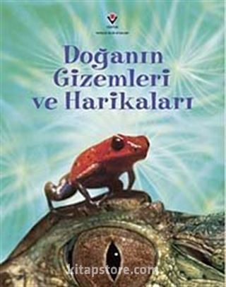 Kitap Store