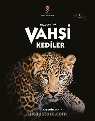 Kitap Store