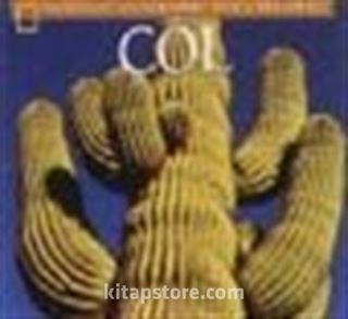 Kitap Store