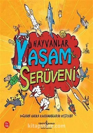 Kitap Store