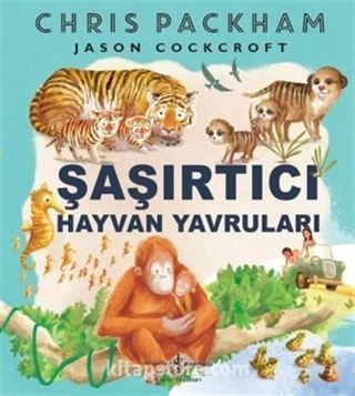 Kitap Store