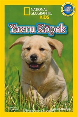 Kitap Store