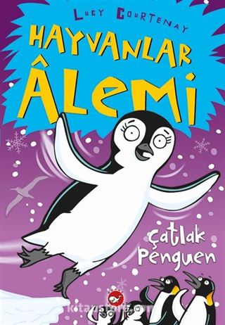 Kitap Store