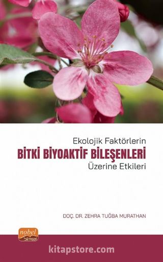 Kitap Store