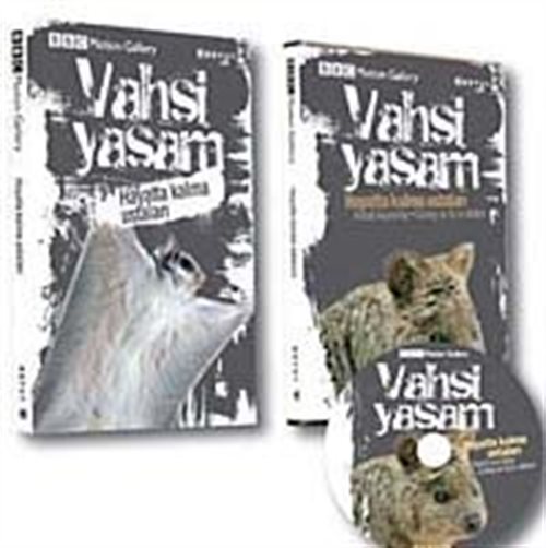 Kitap Store