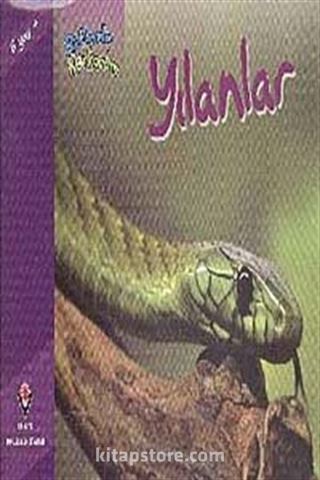 Kitap Store