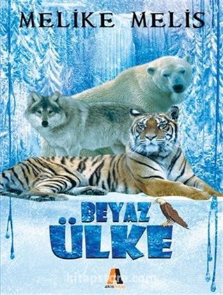 Kitap Store