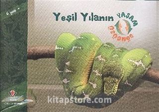 Kitap Store