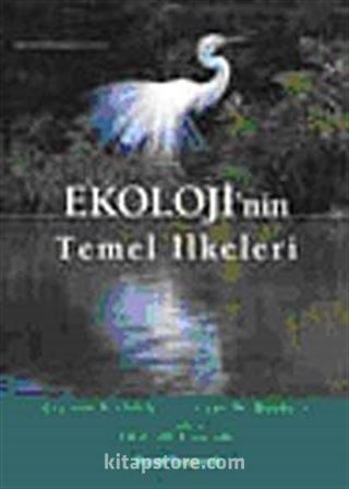 Kitap Store