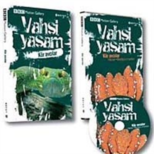 Kitap Store