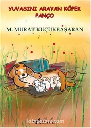 Kitap Store