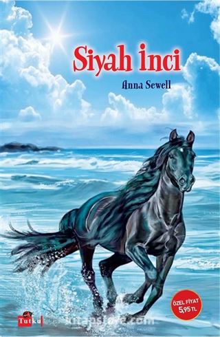 Kitap Store
