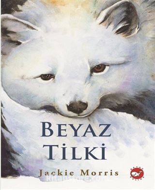 Kitap Store