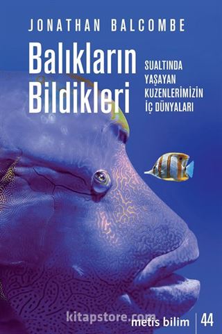 Kitap Store