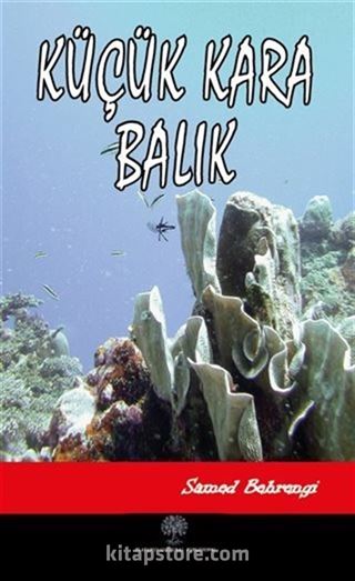 Kitap Store