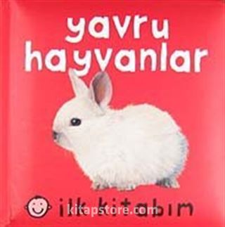 Kitap Store