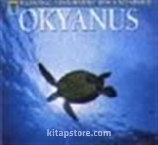 Kitap Store
