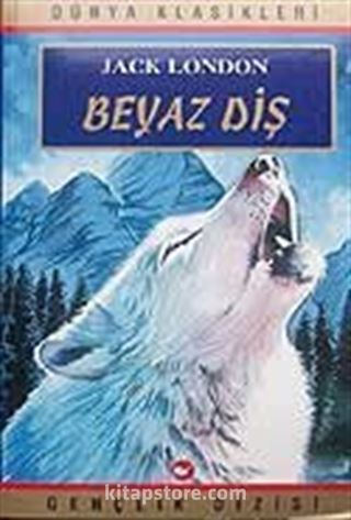 Kitap Store