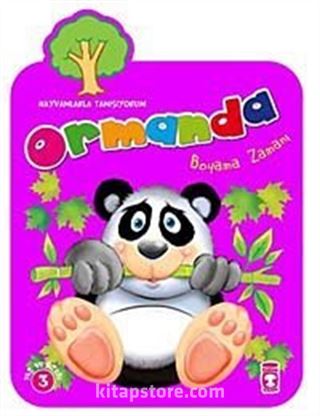 Ormanda Boyama Zamanı Hayvanlarla Tanışıyorum