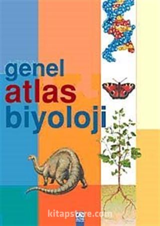 Kitap Store