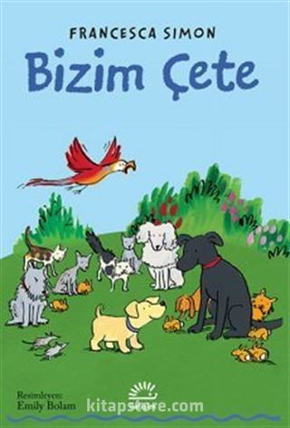 Kitap Store
