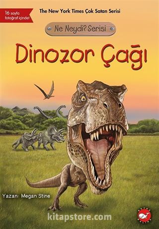 Dinozor Çağı Ne Neydi Serisi