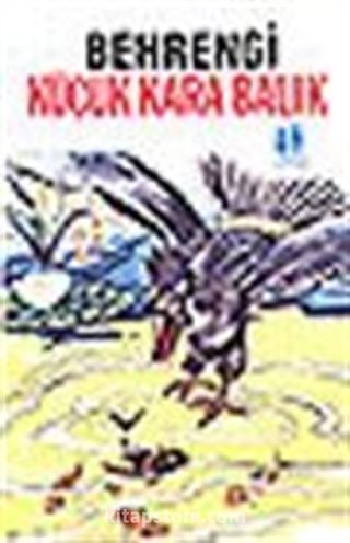 Kitap Store