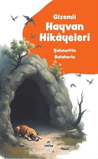 Kitap Store