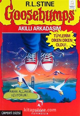 Kitap Store