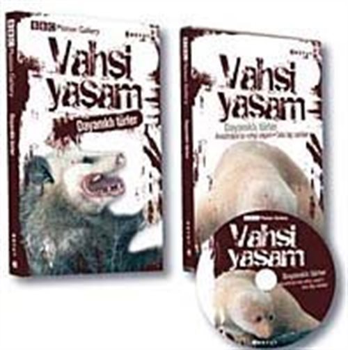 Kitap Store