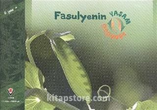 Kitap Store