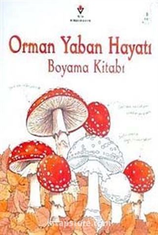 Kitap Store