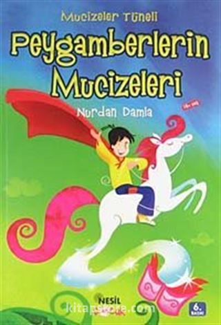 Mucizeler Tüneli Hayal Atı Serisi 1