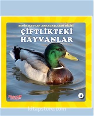 Kitap Store