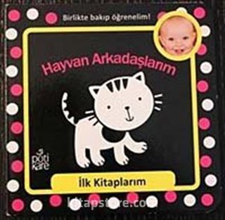 Kitap Store