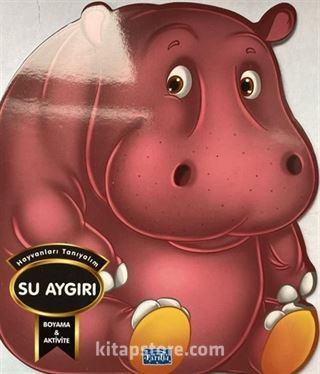 Kitap Store