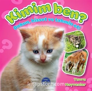 Kitap Store