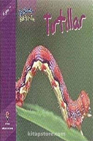 Kitap Store