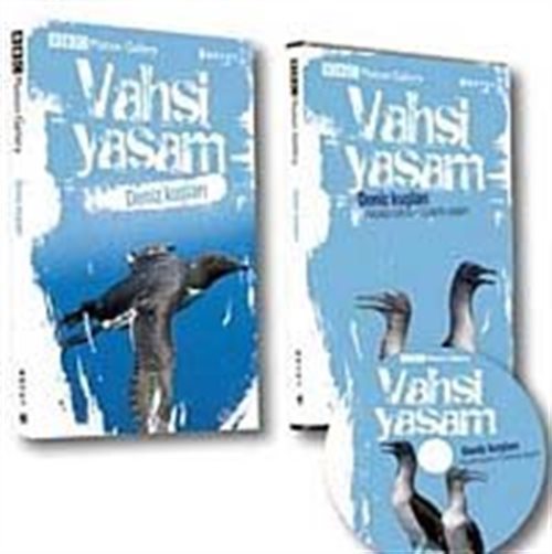 Kitap Store
