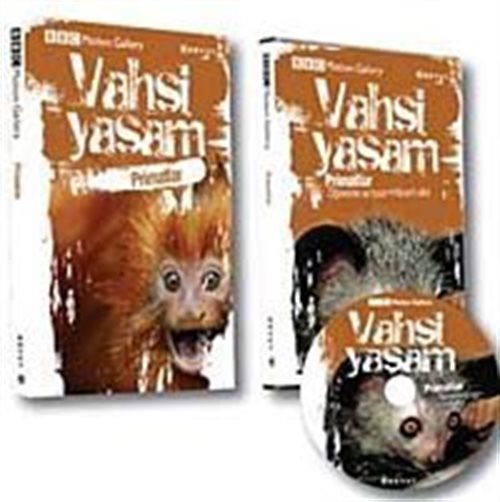 Kitap Store