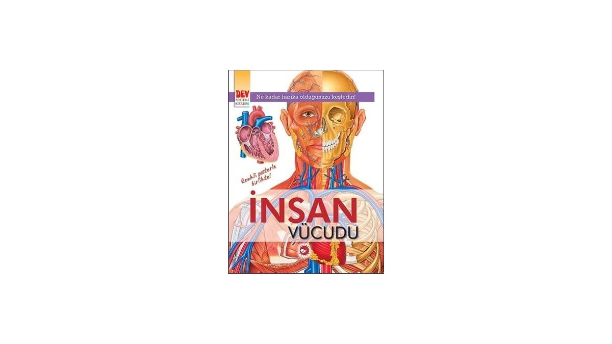 Kitapsan