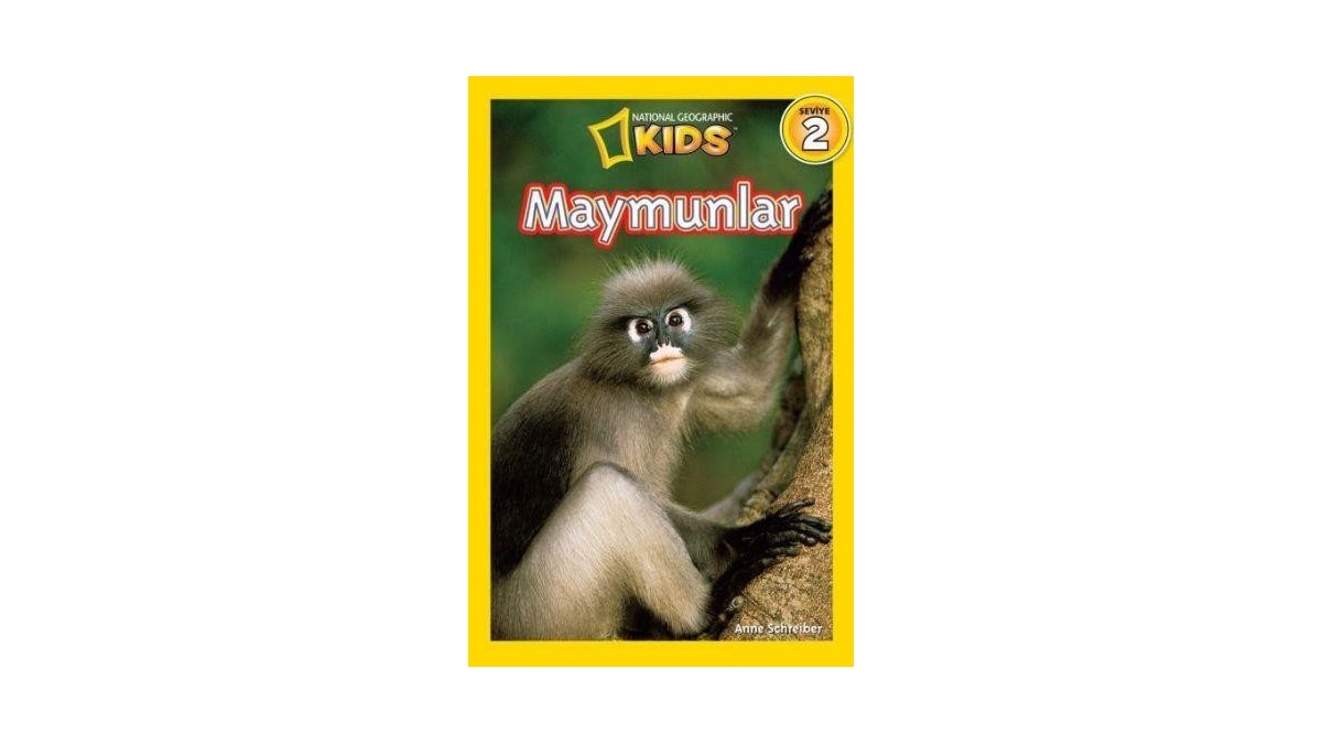 Kitapsan
