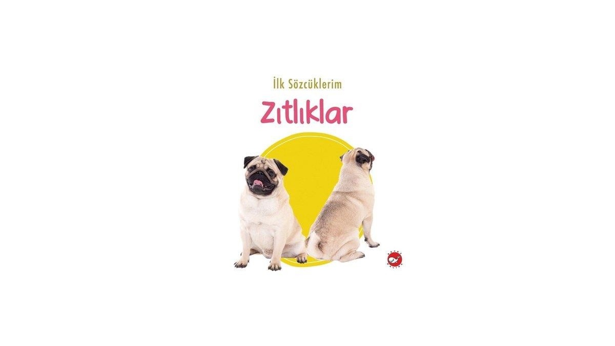 Kitapsan