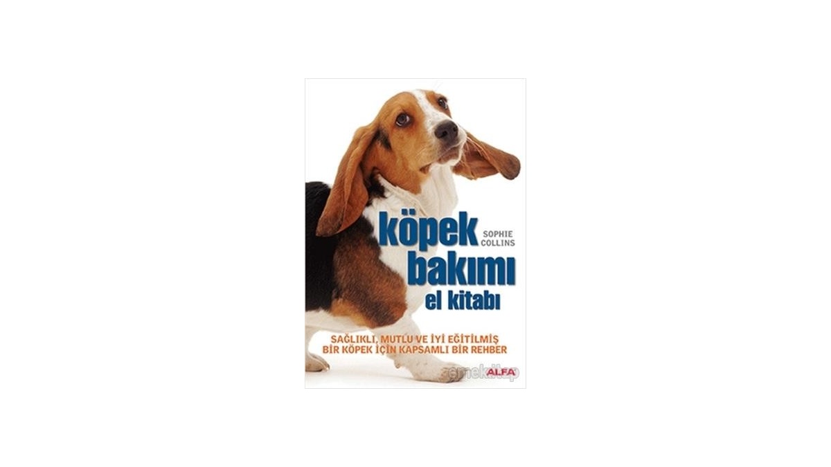 Kitapsan